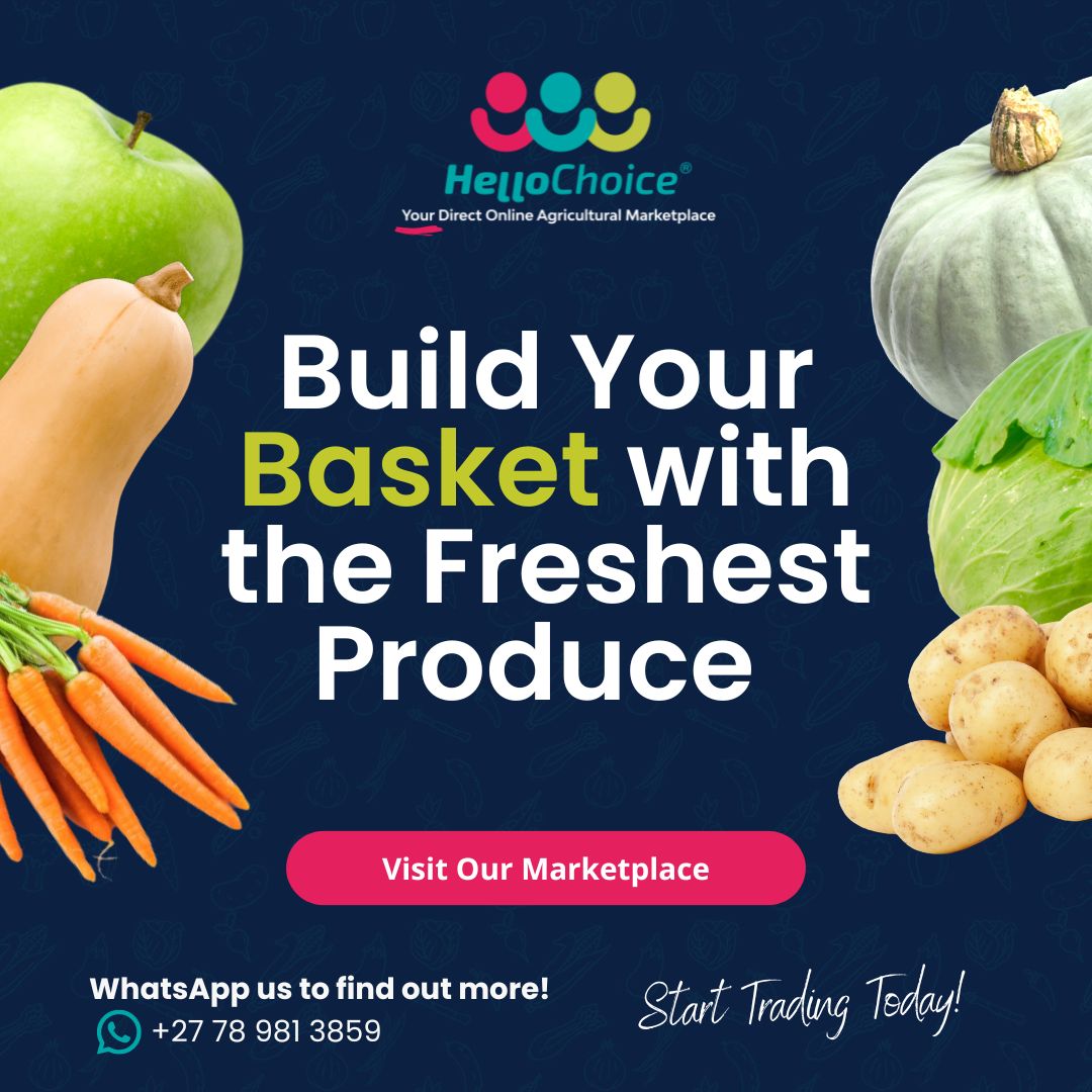 Did you know we don't just trade in bulk?

Get your basket loads of fresh produce on our Marketplace, and we can even assist you with transport to ensure it all gets to you at once.

#hellochoice #onlinemarketplace #buildyourbasket #basketloads