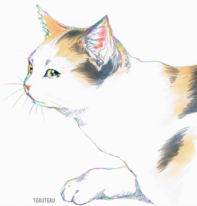 オリジナルの絵を描いてふと「これ誰か(もしくは何か)に似てる」と感じる時があって例えばこの三毛にゃんなら"真珠の耳飾りの少女"が浮かんだのだけど この感覚って独自のもののようで共感を得られない場合が多々あるので元々が意識していなかったのであればそっと胸に仕舞っておくのが賢明だったり 