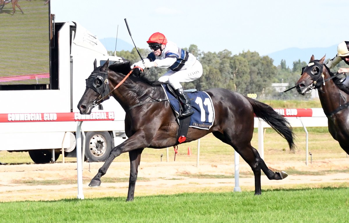 Racing NSW tweet media