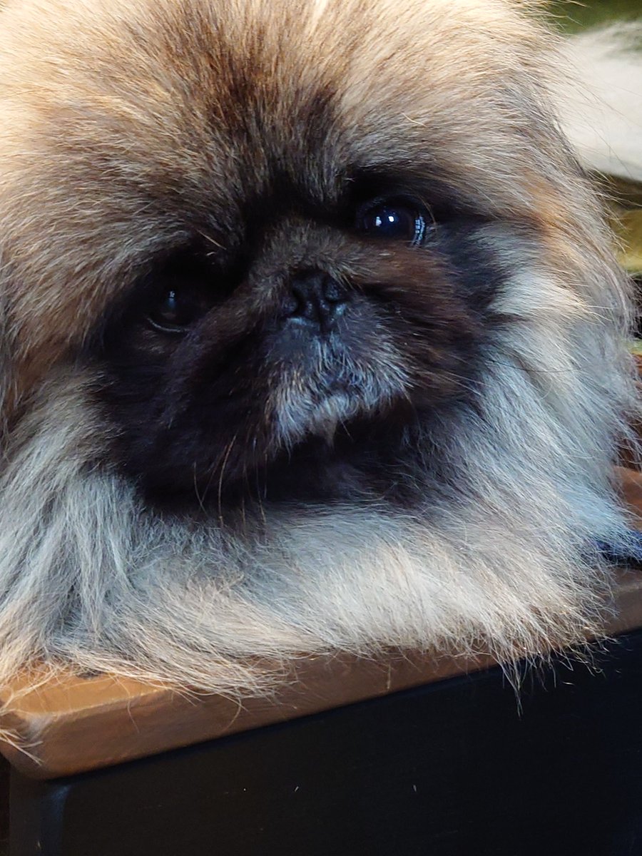 BURGHACK tweet media