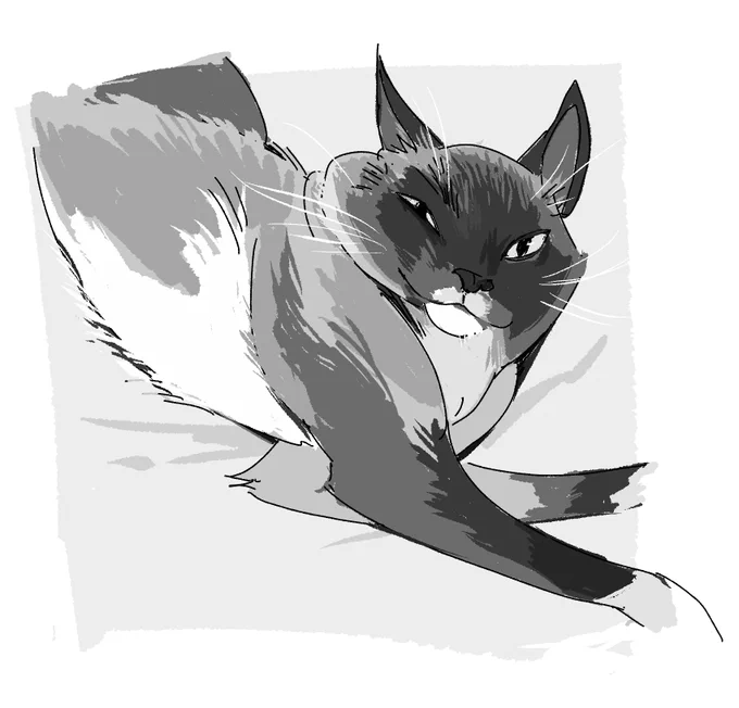 ive been drawing my classmates's cats during class 