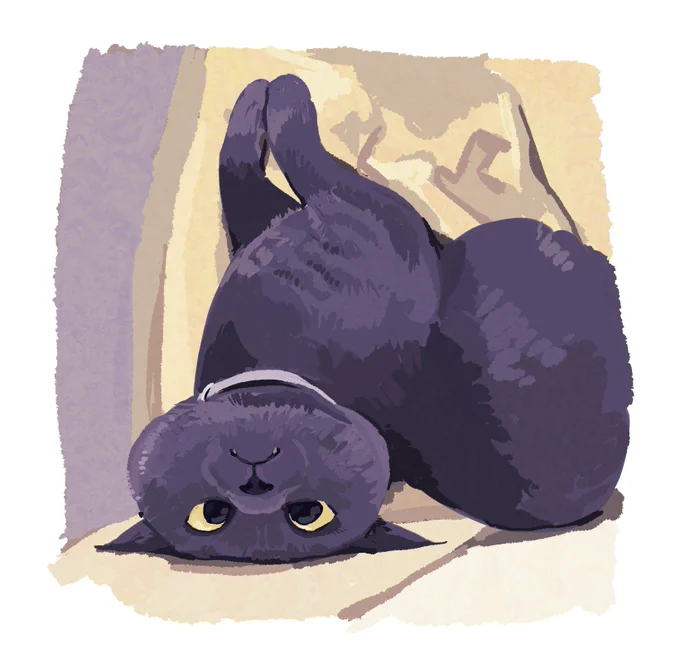 ive been drawing my classmates's cats during class 