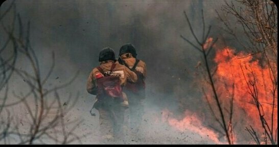bydarwindavid's tweet photo. NEWS
• #Paraguay 🇵🇾 acumula 12.189 casos de Chicungunya 🦟
• #Chile disminuyen los #IncendiosForestales
• #Camboya reporta segunda persona con gripe aviar #H5N1
• #California en alerta por #TormentaInvernal, EE. UU.
• #Endogan Pdte. aboga ante Putin por una Paz Equitativa 🇺🇦 https://t.co/aTyEpNPP60