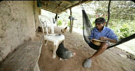 bydarwindavid's tweet photo. NEWS
• #Paraguay 🇵🇾 acumula 12.189 casos de Chicungunya 🦟
• #Chile disminuyen los #IncendiosForestales
• #Camboya reporta segunda persona con gripe aviar #H5N1
• #California en alerta por #TormentaInvernal, EE. UU.
• #Endogan Pdte. aboga ante Putin por una Paz Equitativa 🇺🇦 https://t.co/aTyEpNPP60