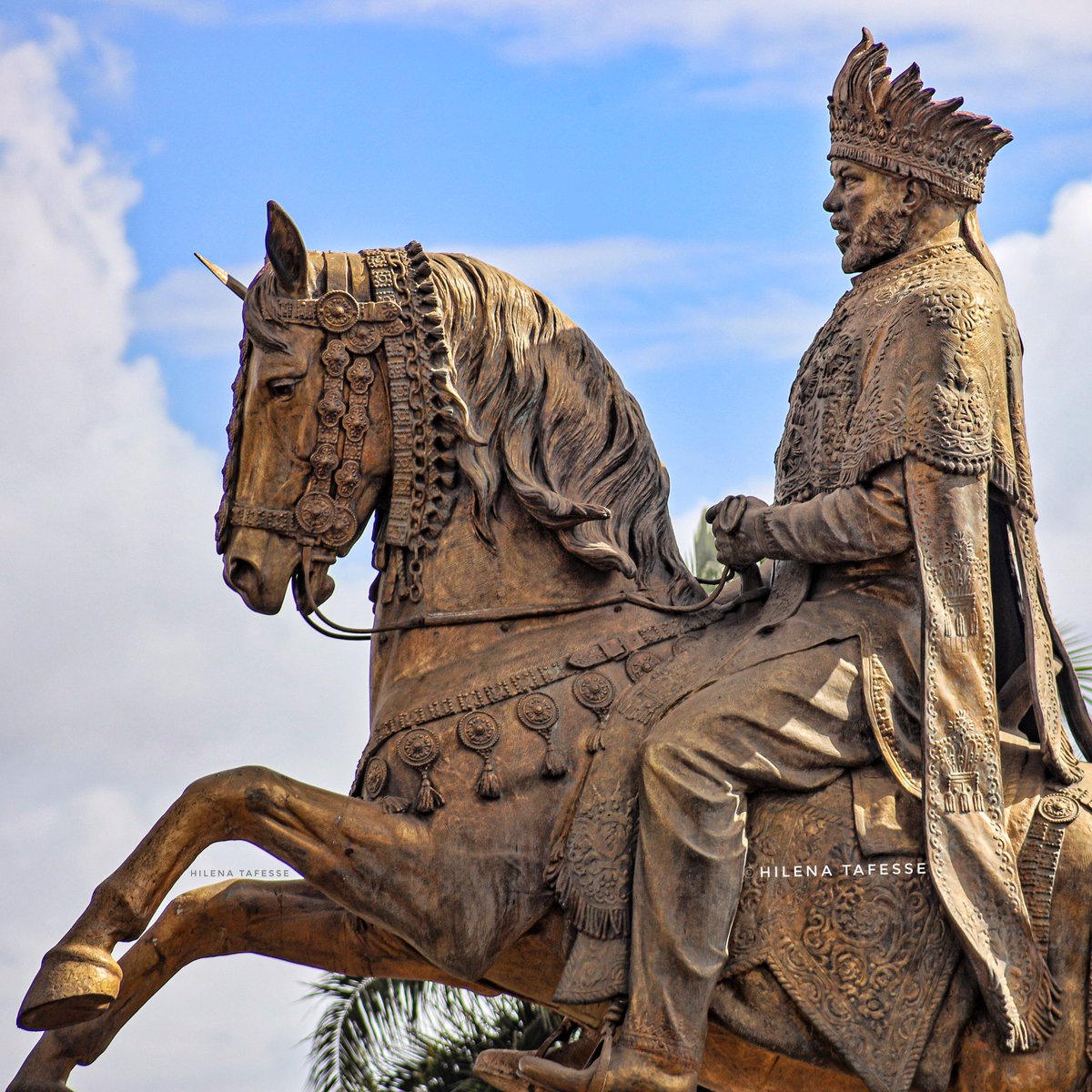 Hilena Tafesse 🇪🇹🕊 tweet media