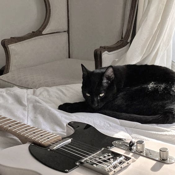 ⊹ ᮫࣭ 𔘓| 3.0k! hiatus permanente? tweet media