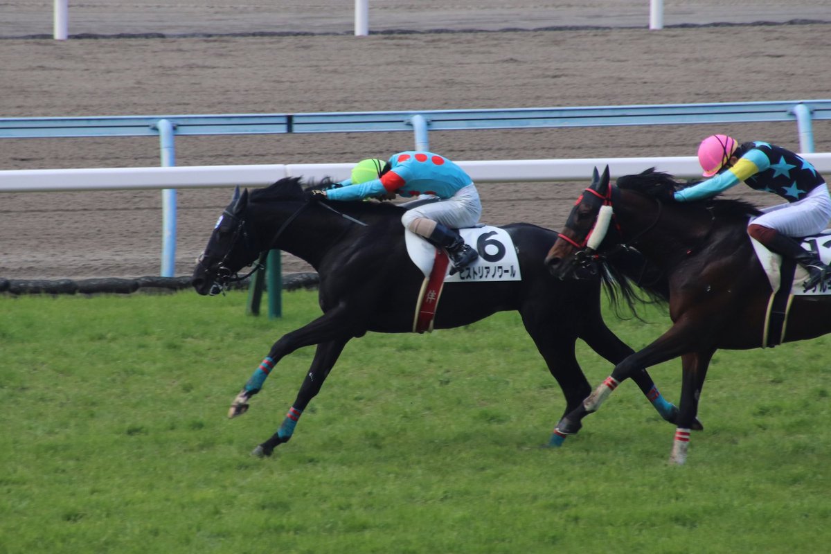 競馬界の伴さん、伴啓太騎手鞍上のヒストリアノワールが勝利を収め、単勝1340円と複勝440円を的中🎯しました。
#伴啓太 騎手
