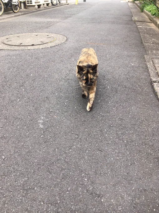 遠くから近寄って来てスリスリありがとね〜 