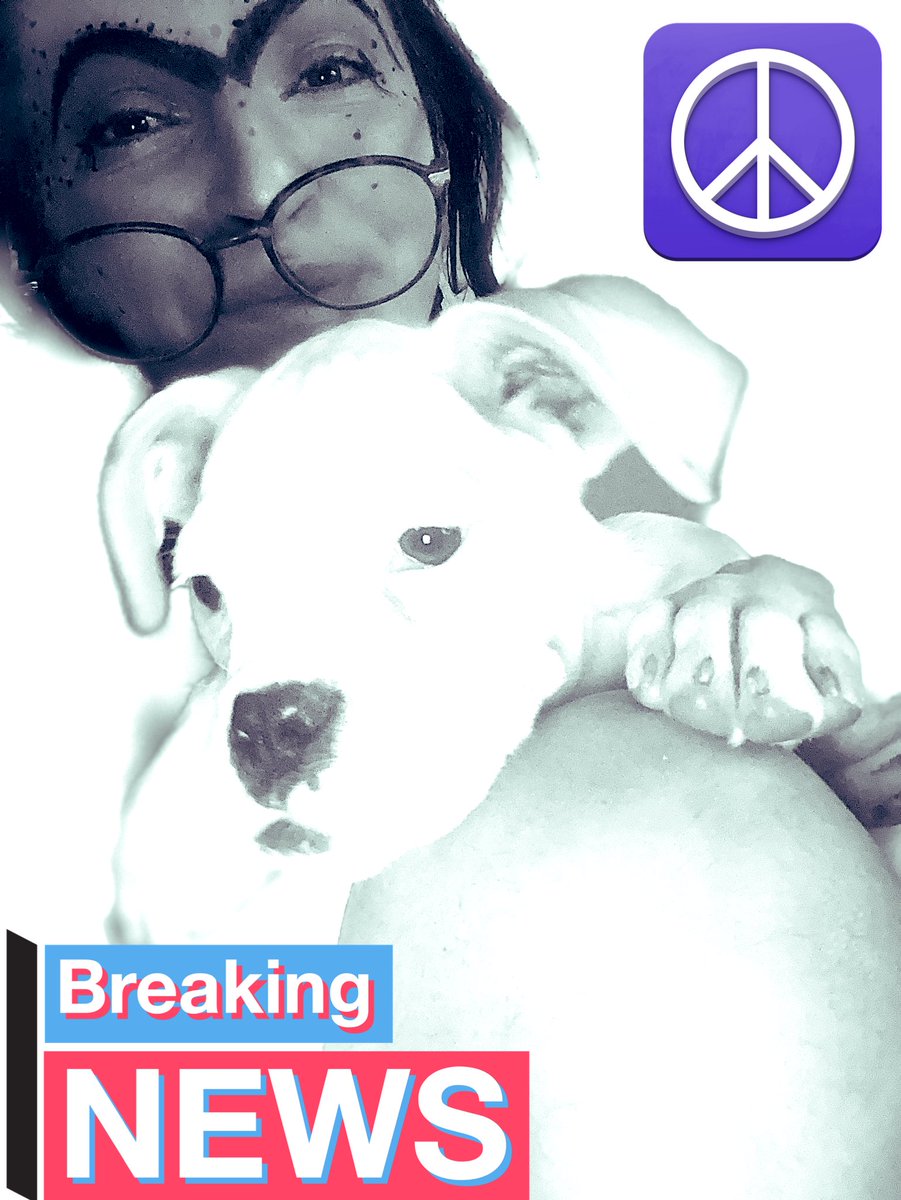 RebeccaApoloni3's tweet image. I feel like I shout out for help is “stupid”-but if you were in my shoes how would you have avoided this? Would you do everything to protect your child’s integrity and rights as human beings WHILE AT THE SAME TIME are intentionally being punished in  penalty to the #timetobe #fam