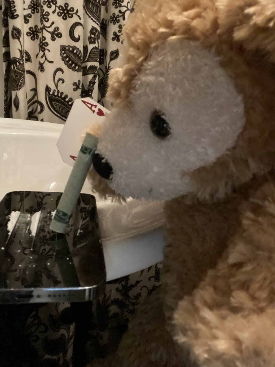 Me: “Can we go see cocaine bear?”            Mom: “No, we have cocaine bear at home.”                                                         Cocaine Bear at home: