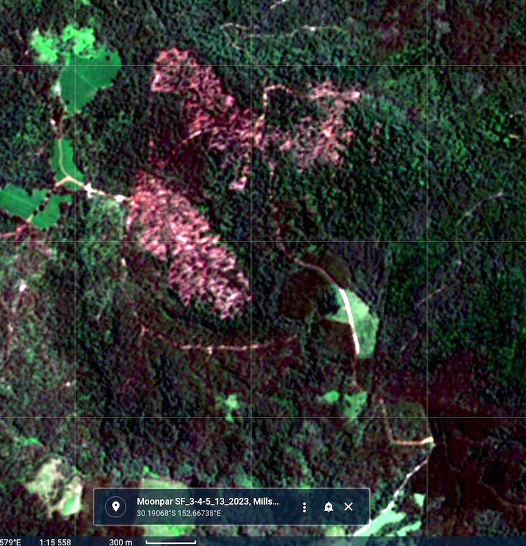CloudsCreek's tweet photo. #NSWForestry native forest #logging in important #koala habitats at Moonpar State Forest continues near #PlatypusFlats tourist camping mecca on the Dorrigo Plateau this month.
Logging impact can be seen from space
#SaveMoonpar #StandUp4Forests #NSWVotes
🐨#GreatKoalaNationalPark https://t.co/AA7BbRIdh5