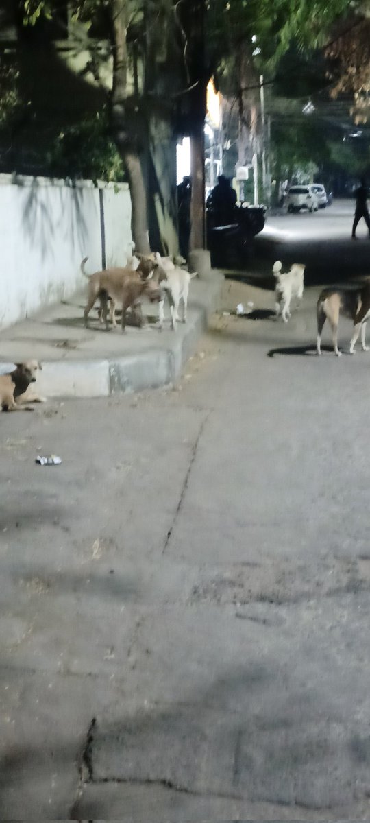 Total dogs 12!! 
.@GHMCOnline @GadwalvijayaTRS Domalguda!