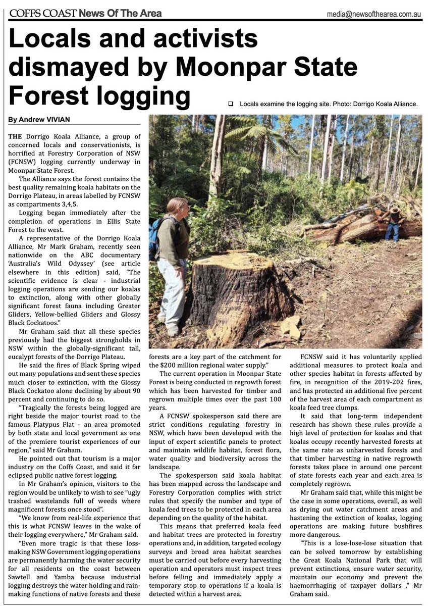 CloudsCreek's tweet photo. #NSWForestry native forest #logging in important #koala habitats at Moonpar State Forest continues near #PlatypusFlats tourist camping mecca on the Dorrigo Plateau this month.
Logging impact can be seen from space
#SaveMoonpar #StandUp4Forests #NSWVotes
🐨#GreatKoalaNationalPark https://t.co/AA7BbRIdh5