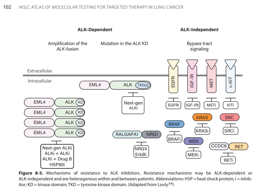 Check out the new @IASLC Atlas of Molecular Testing in Lung Cancer. It was a great experience contributing to the ALK chapter, collabing with an array of inspiring co-authors in the targeted therapies for lung arena iaslc.org/iaslc-atlas-mo…
