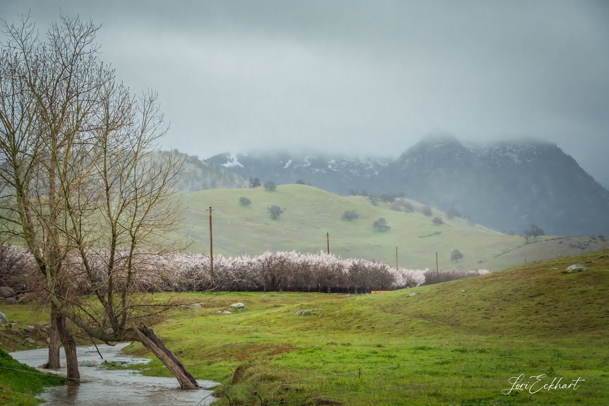 LoriEckhart1's tweet photo. @kcraFinan @kcranews We drove down to the Sutter Buttes this morning to see if there would be snow on them. They were mostly covered with clouds, but we did see a bit of snow. #Buttes #Sutterbuttes #kcra https://t.co/5bHAPNHLFV