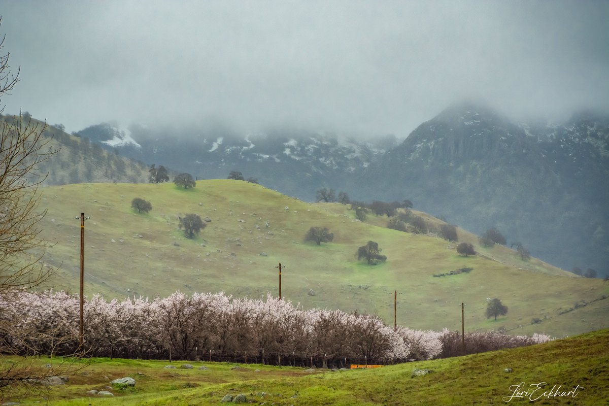 LoriEckhart1's tweet photo. @kcraFinan @kcranews We drove down to the Sutter Buttes this morning to see if there would be snow on them. They were mostly covered with clouds, but we did see a bit of snow. #Buttes #Sutterbuttes #kcra https://t.co/5bHAPNHLFV