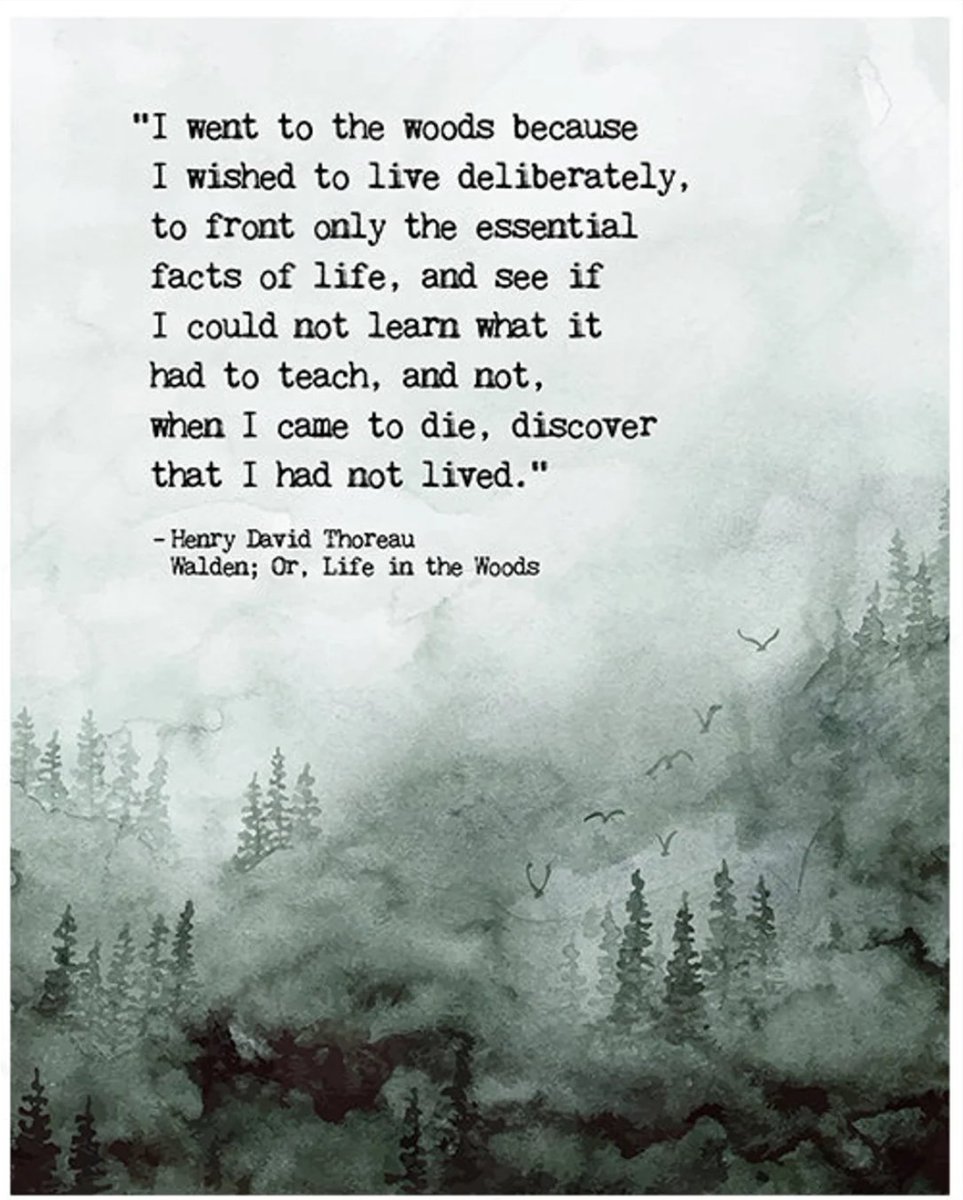 patchofwild's tweet image. #poetry