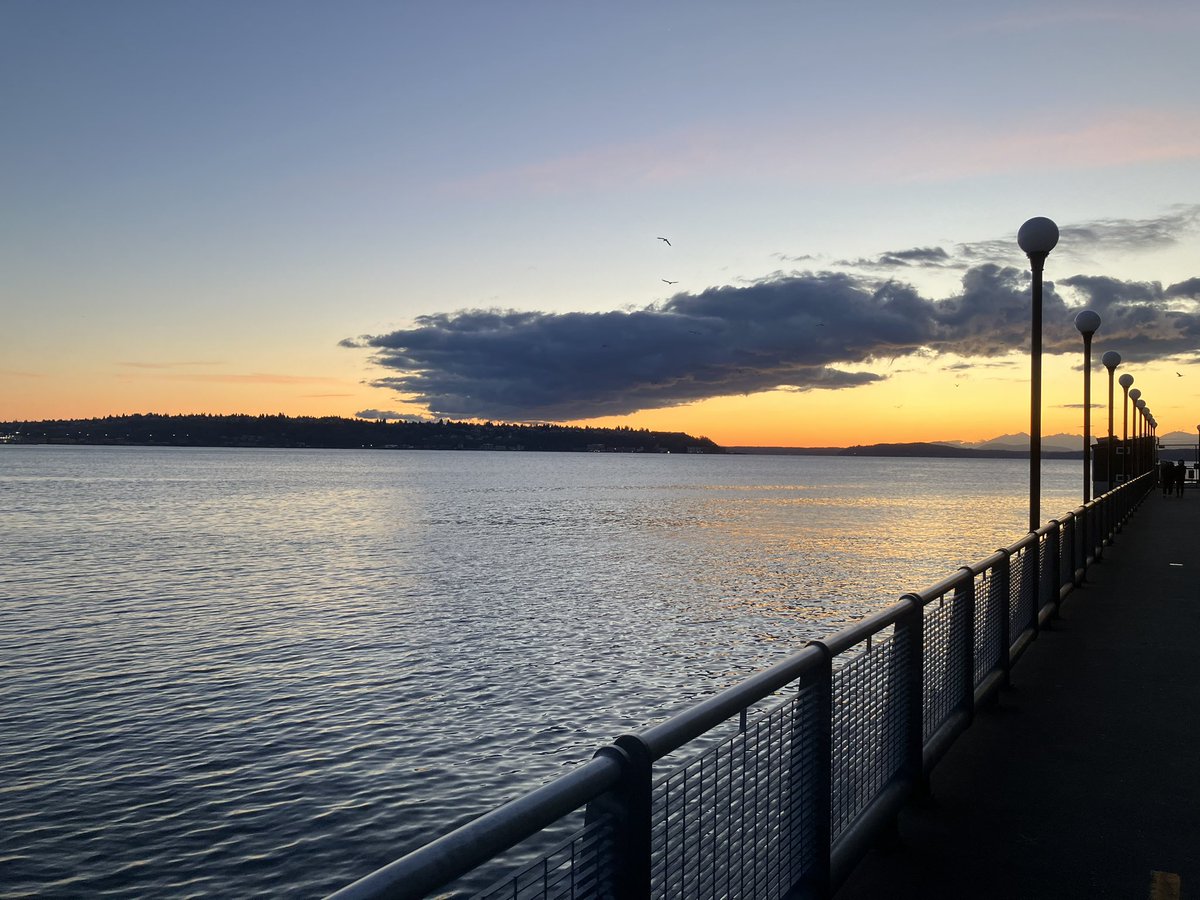 ezusthid's tweet photo. seattle aquarium sunset https://t.co/0P8J5rtGVf
