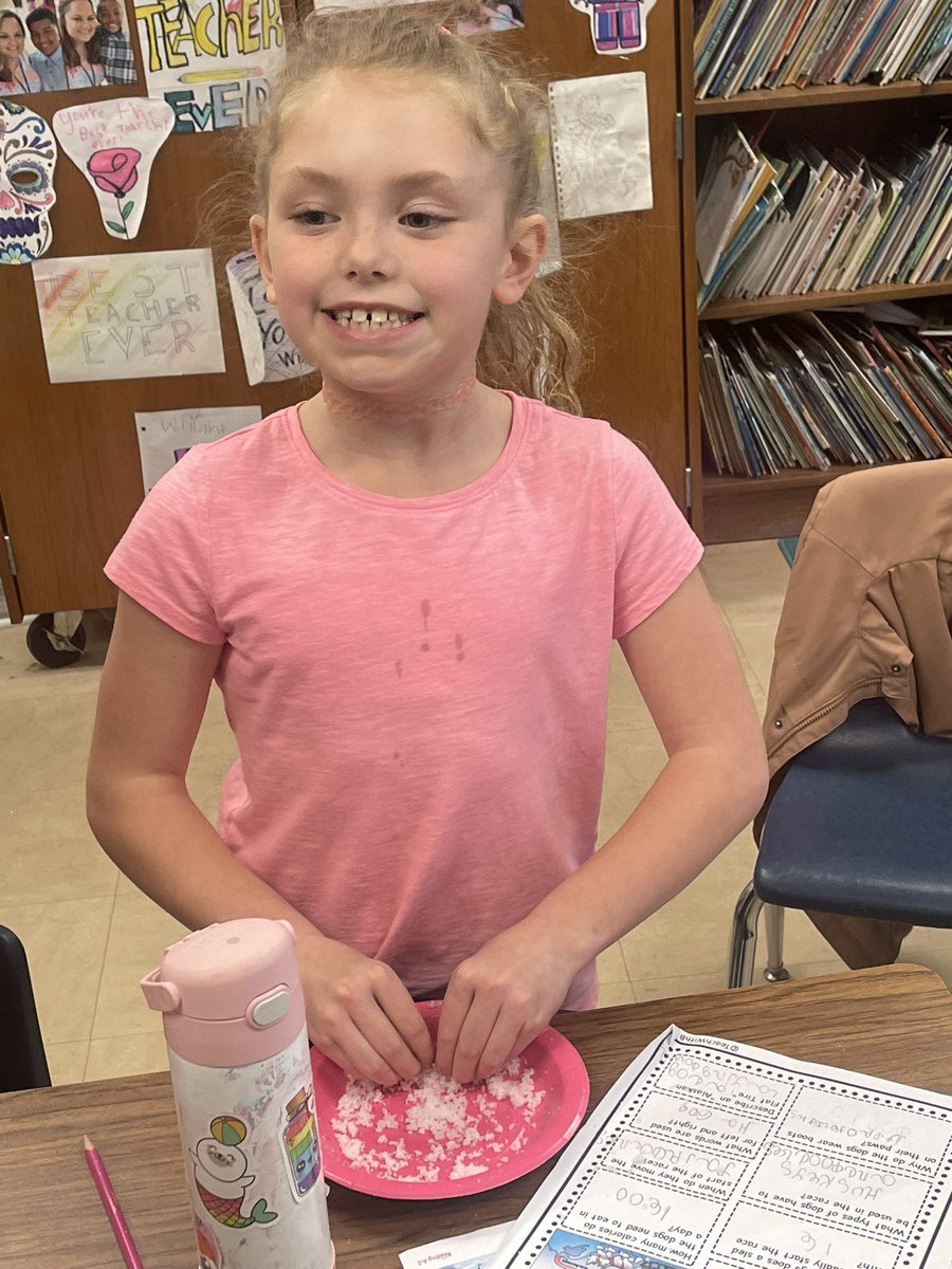 blwright2nd's tweet image. When NC decides to be crazy with her weather, you make your own “snow day”. The kids enjoyed every minute. #mes #2ndgraderocks @meadowlarkes