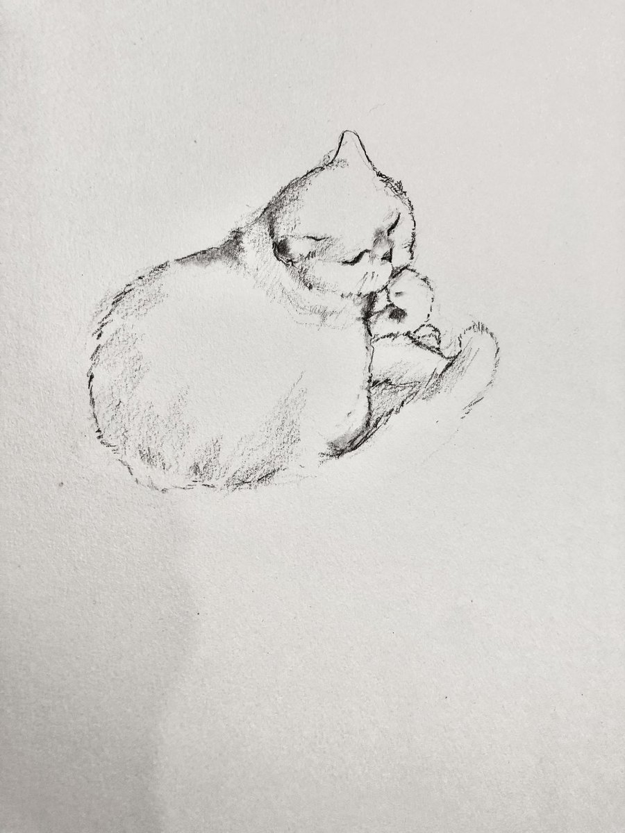 不会有人不喜欢小猫咪吧？
#猫 #sketch