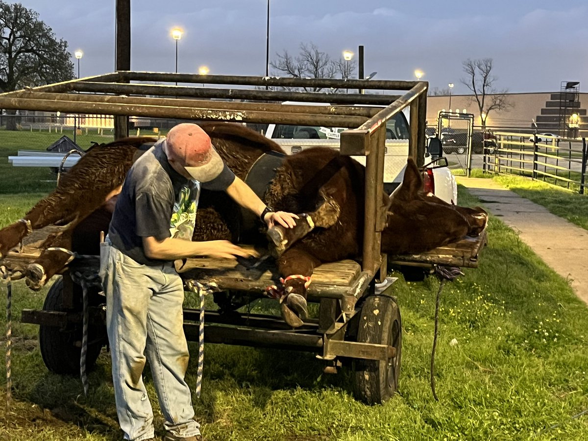 FFAHightower's tweet photo. Last spa day before HLSR. #hhsffa #hlsrbound https://t.co/pULYTkHvta