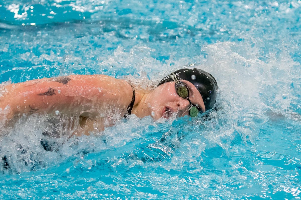 Manhattan Swimming tweet media