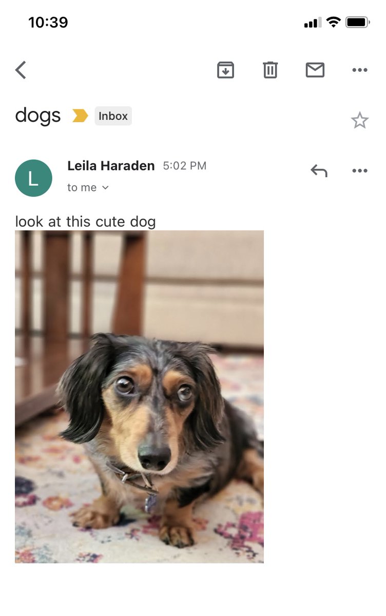 erin_e_long's tweet photo. @DustinHaraden Look what I just got! This is the best development. https://t.co/mVqYr5Shme