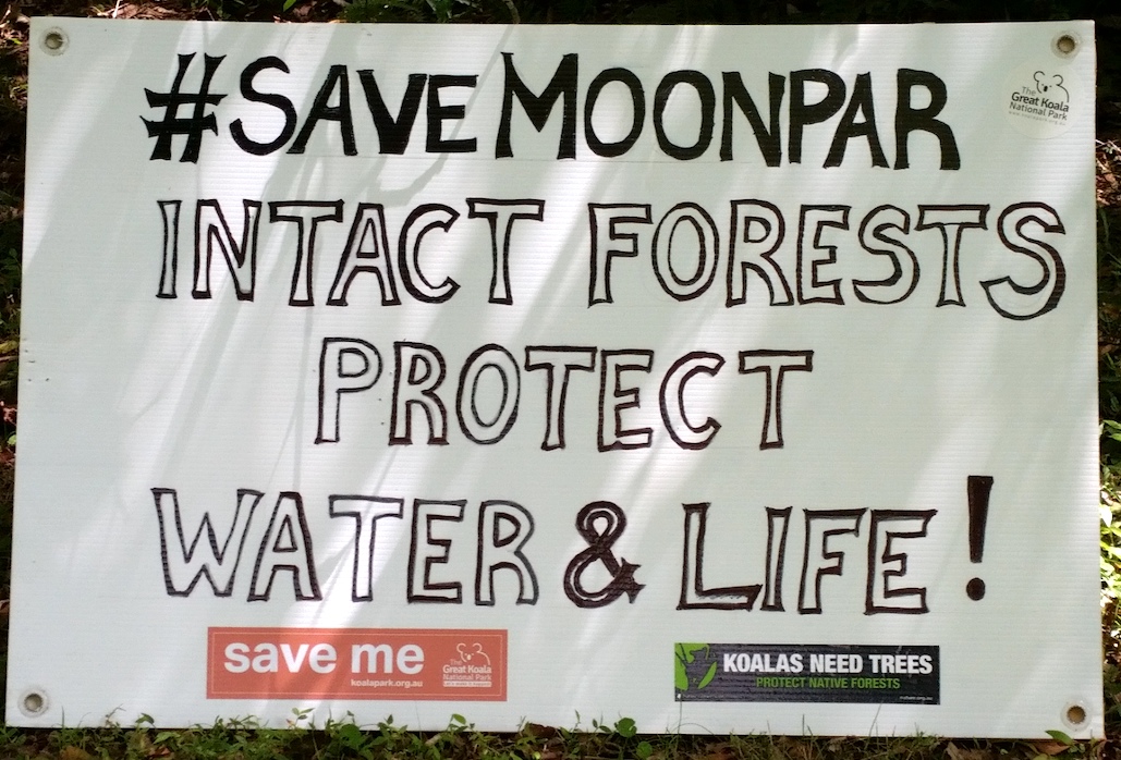CloudsCreek's tweet photo. #NSWForestry native forest #logging in important #koala habitats at Moonpar State Forest continues near #PlatypusFlats tourist camping mecca on the Dorrigo Plateau this month.
Logging impact can be seen from space
#SaveMoonpar #StandUp4Forests #NSWVotes
🐨#GreatKoalaNationalPark https://t.co/AA7BbRIdh5