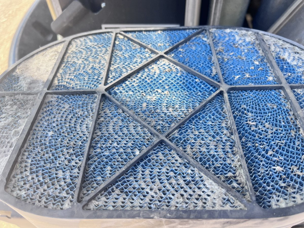 Bernie Jackson tweet media