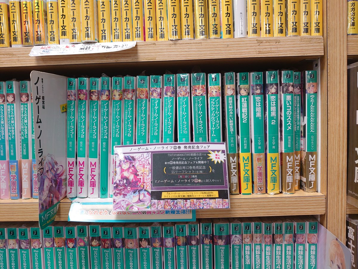 ノーフロックスメドのリーフレット