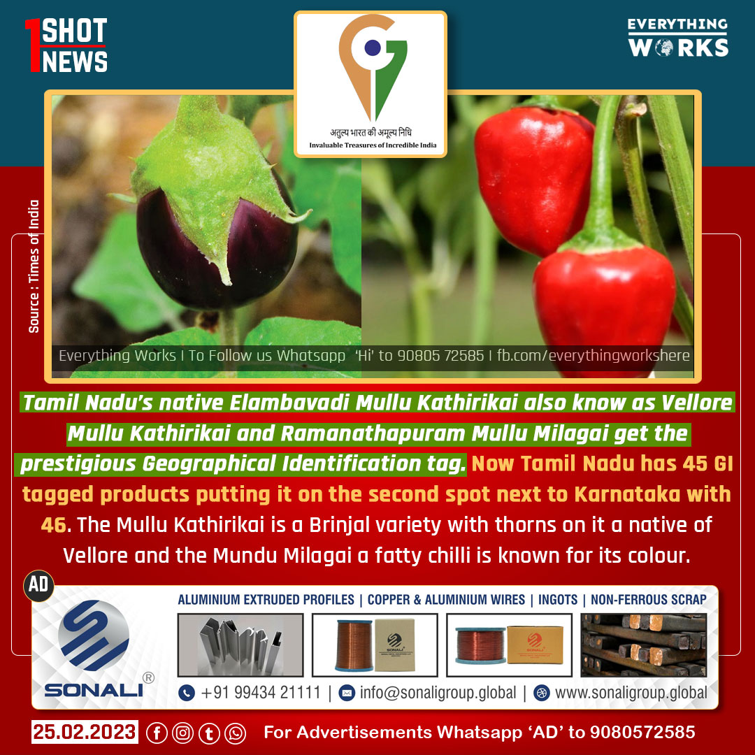 HereWorks's tweet photo. Tamil Nadu’s native Elambavadi Mullu Kathirikai and Ramanathapuram Mullu Milagai get the prestigious GI tag.
#1ShotNews | #GITag | #GeographicalIdentification | #Vellore | #VelloreMulluKathirikai | #Ramanathapuram | #MunduMilagai | #Tamilnadu | #TamilnaduNews https://t.co/sBDLvpK5NQ