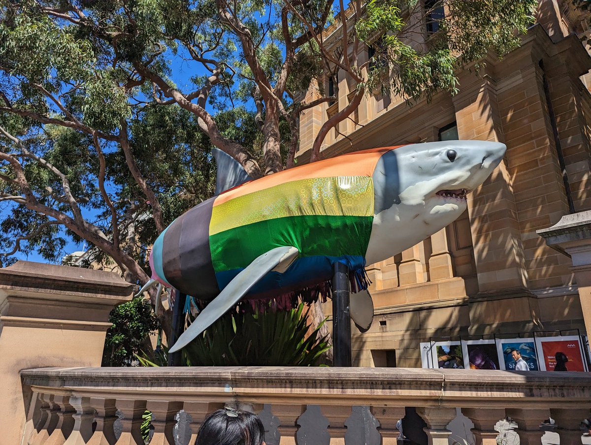 RoamingZephyr's tweet photo. Saying a quick hello to #ProgressShark! https://t.co/5ArhcyxHv4