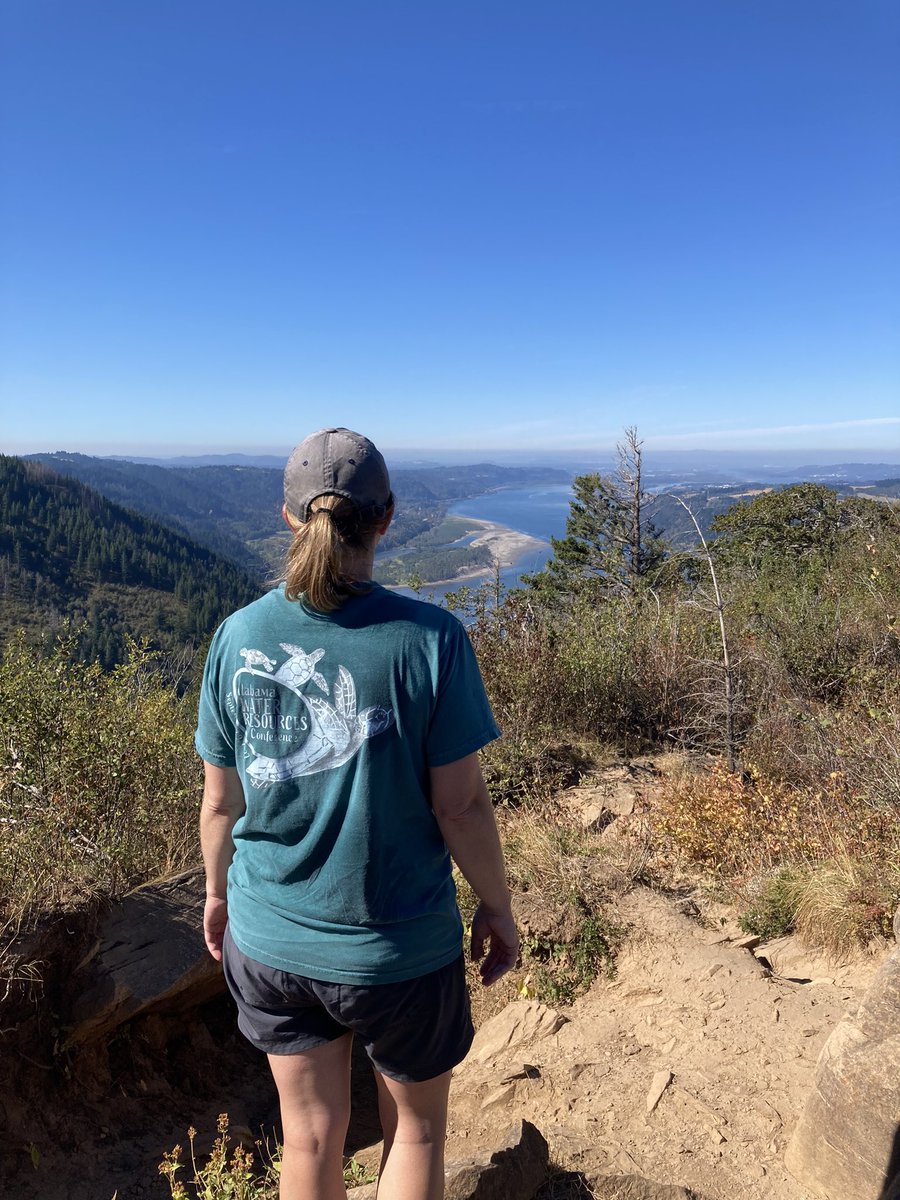 Frances O'Donnell tweet media