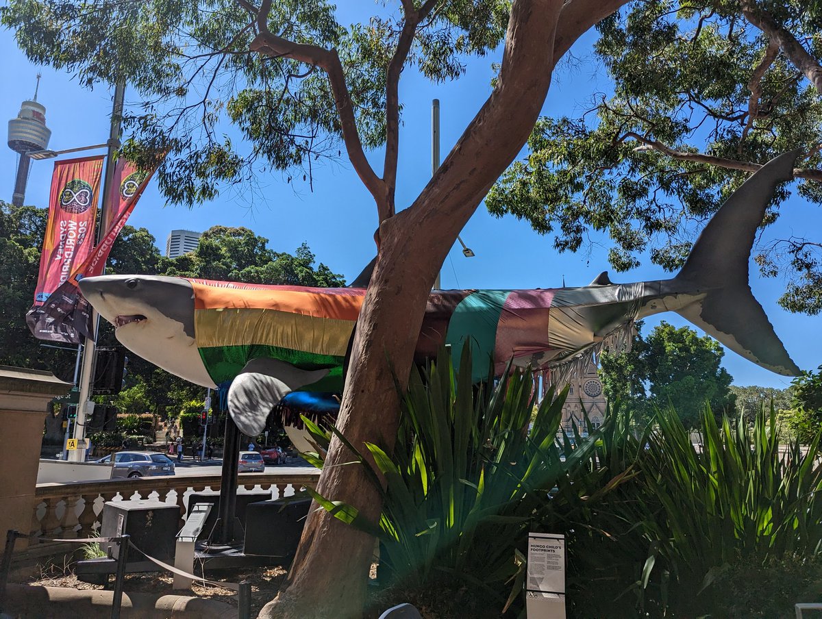 RoamingZephyr's tweet photo. Saying a quick hello to #ProgressShark! https://t.co/5ArhcyxHv4