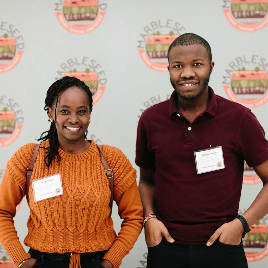 Marbleseed tweet media