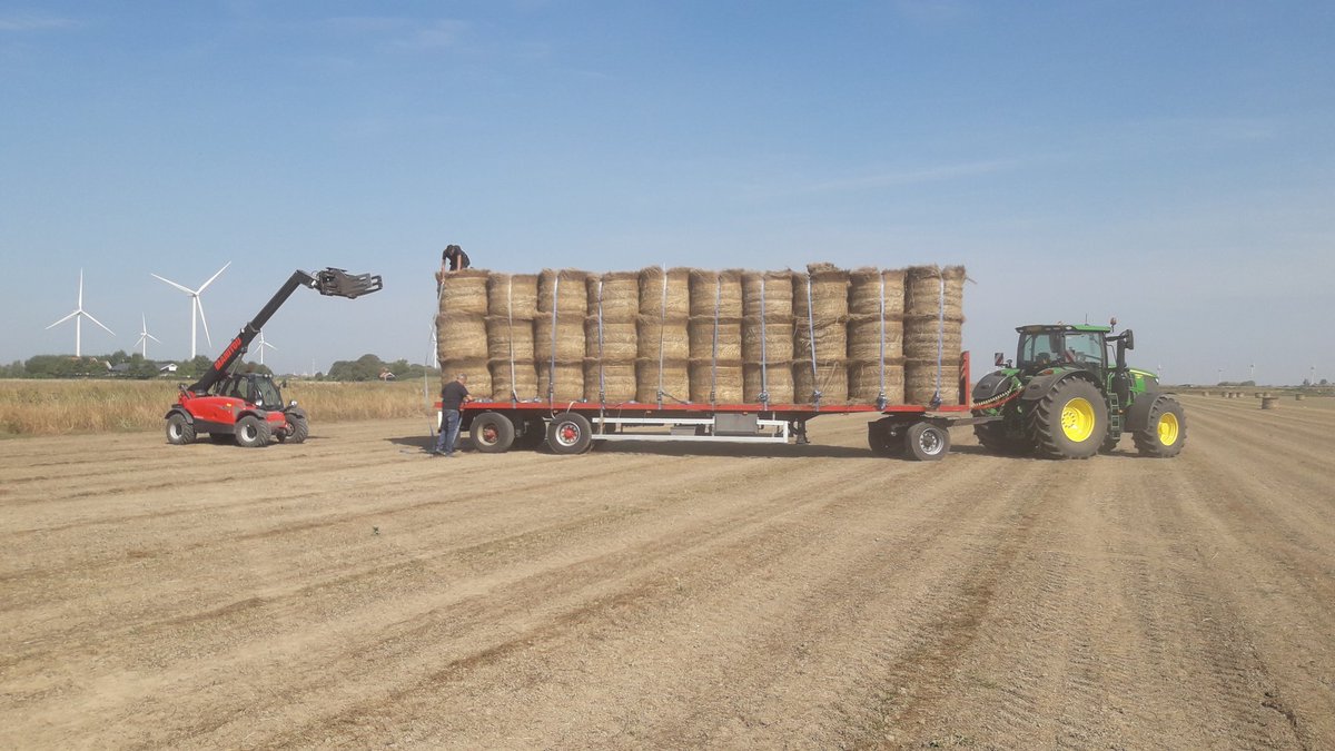 Flax loading with #Manitou MLT 625.