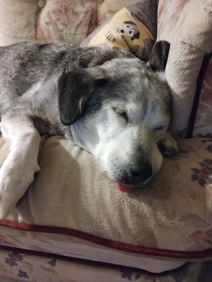 Ok, enough for tonight. Lily's snoring reminds me its past bed time.