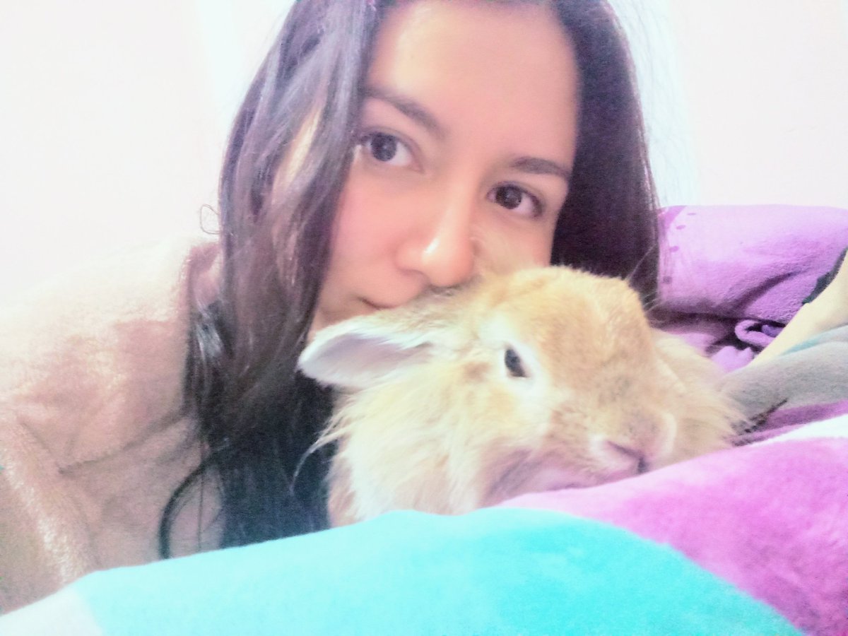 KNoritza's tweet photo. Mi bebe chiquito 💝 #mascot #amol https://t.co/oMSqFmPC1K