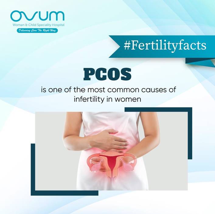 OVUMHospitals's tweet image. Polycystic Ovary Syndrome (PCOS) is a common condition that affects many women and can lead to infertility. But don&apos;t lose hope! There are effective treatments available. 

#PCOSandInfertility #pcos #ovumwomanandchildcare #ovumneonatal #ovumhospitals #SoComeToOvum