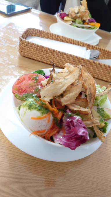 友達とランチして今足湯してるこのあとプリン食べてザファ見に行きます 
