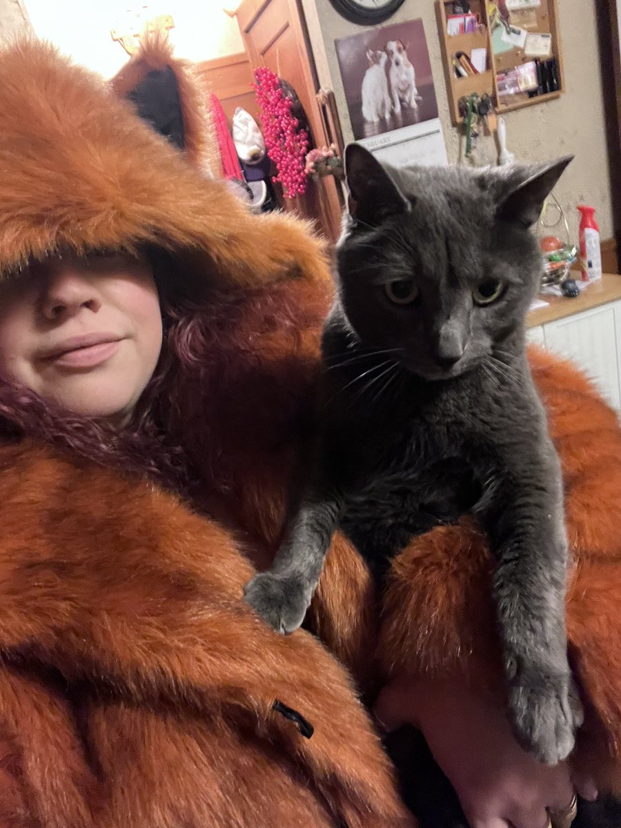 i’m sorry but buying a @spirithoods coat was my best decision of my life thus far.. used to want one of the hooded hats when I was 12-13 I’m now 30 and just bought my third coat in less than 2 weeks 🤣😭 it’s the best investment so cozy and warm y’all (not exactly Asher approved)