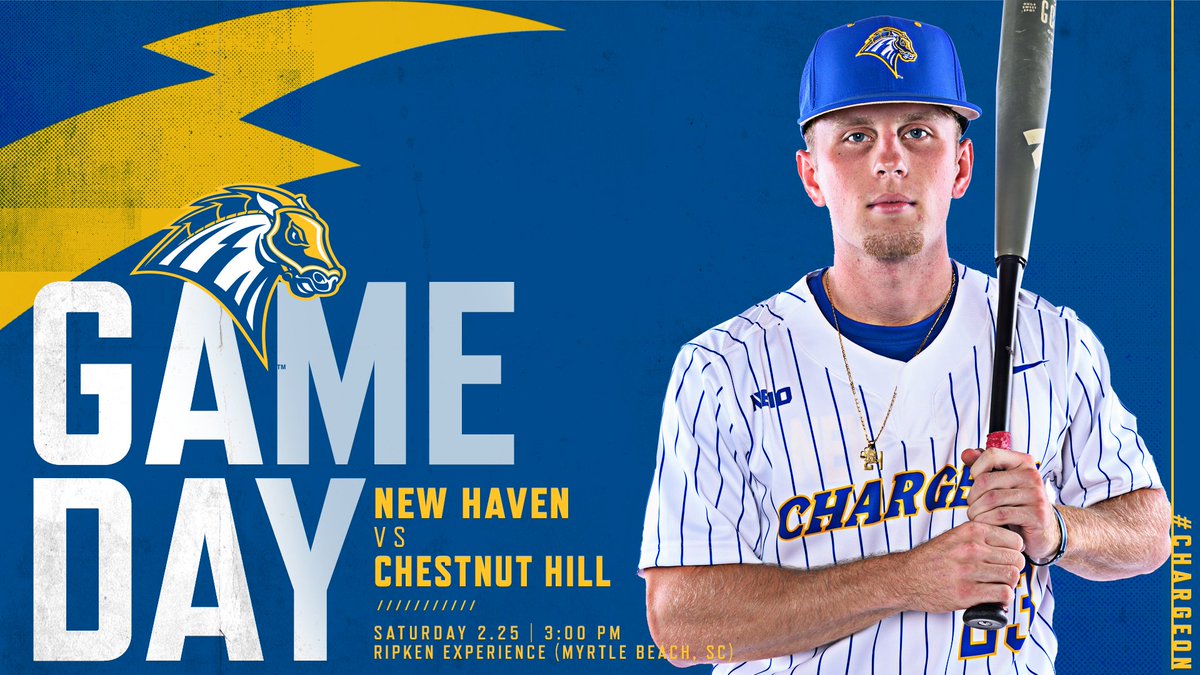 New Haven Baseball tweet media