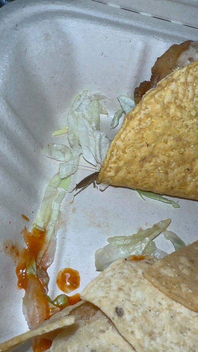 iampharmbae's tweet photo. Since @limefreshmex is sending the customer to voicemail I need social media to get their attention. The meal should’ve been half off since she had to share her plate with a roach 😒. This meal was purchased at 801 S University Dr, Plantation, FL 33324 @LimeFreshMexDC https://t.co/rscoFQhS7h