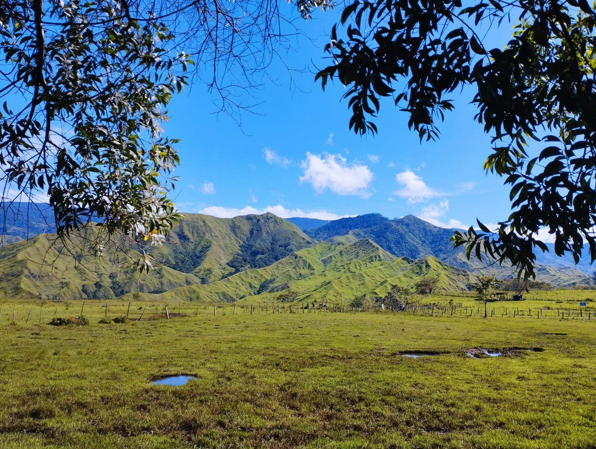 pwsfordonbelle_'s tweet photo. Bukidnon ❤
#CommunalRanch https://t.co/YbyItdU7mI