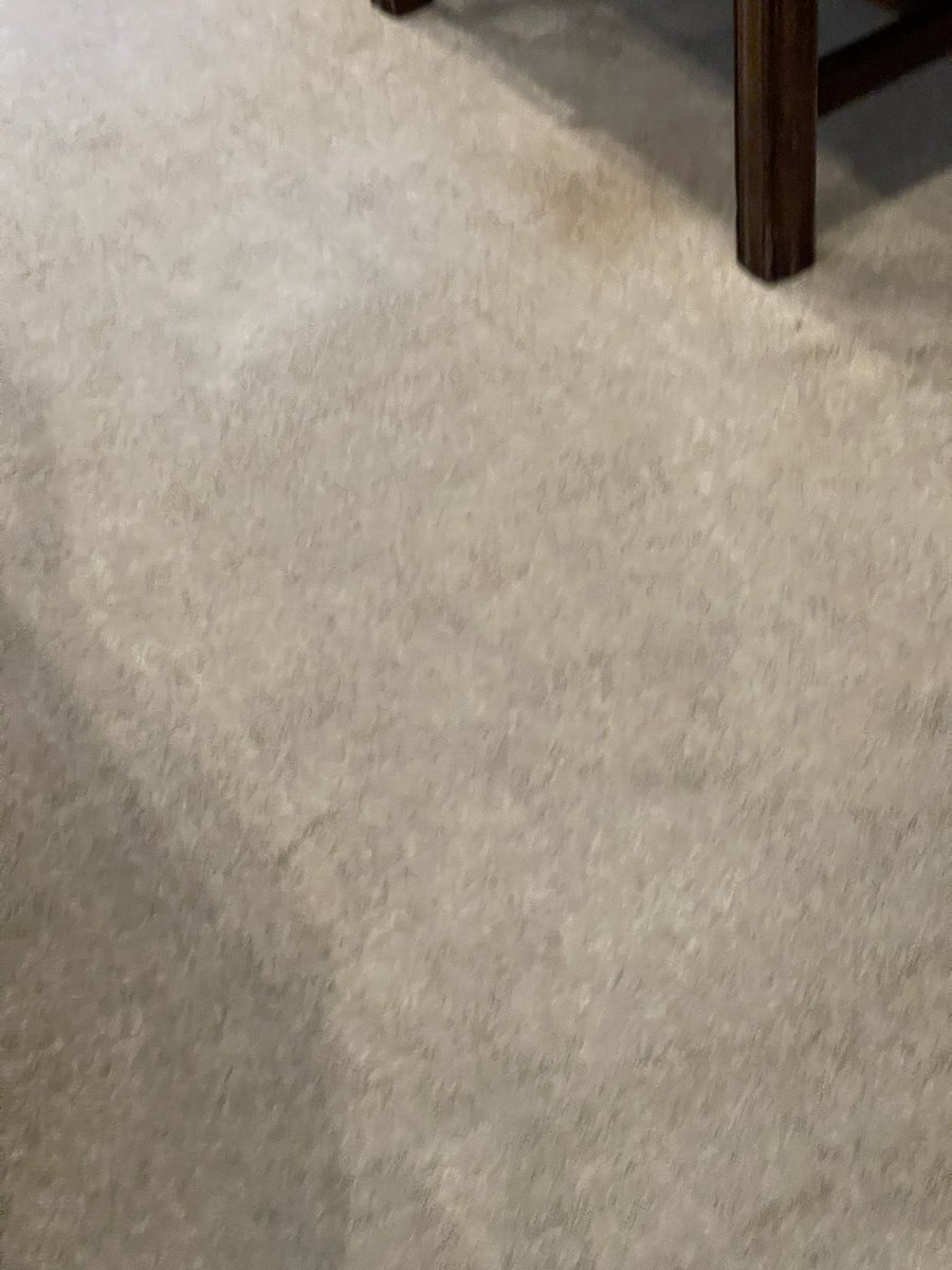 cblankbow's tweet photo. Stein Erikson Lodge Park City disappointed.  Really? This is a high end resort? https://t.co/4HmE7SXQVs