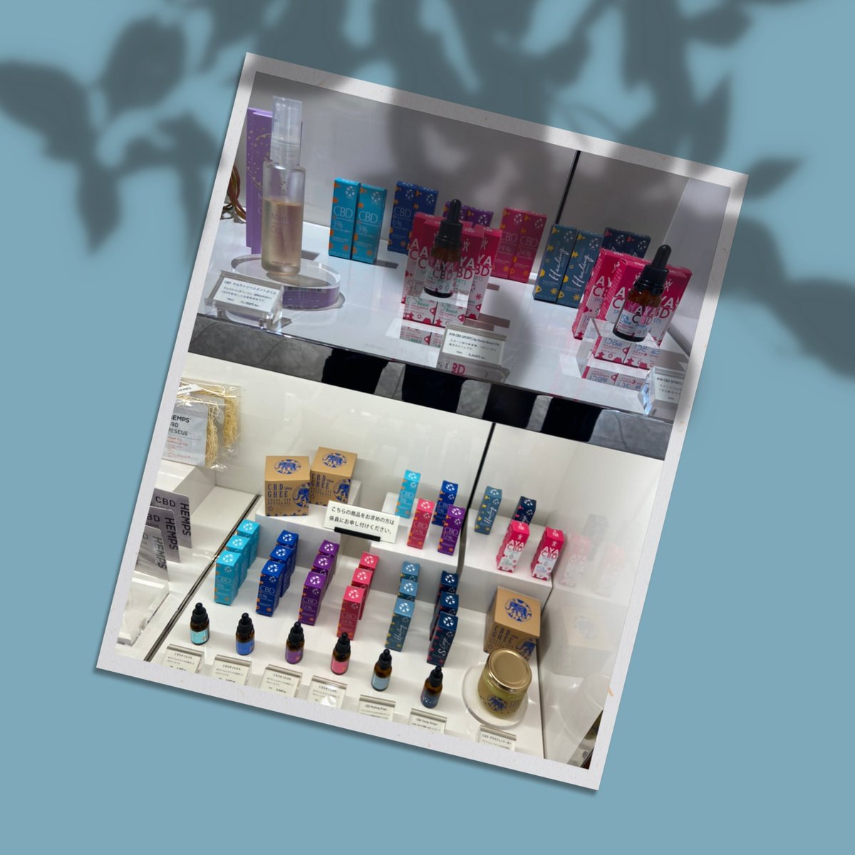 itomacbd's tweet photo. 週末は伊勢丹地下2階ビューティアポセカリーにitomaエバジェリストが入店しております✨

あなたに合ったCBD製品を一緒に選んでみませんか？ https://t.co/oezMnYZlM9