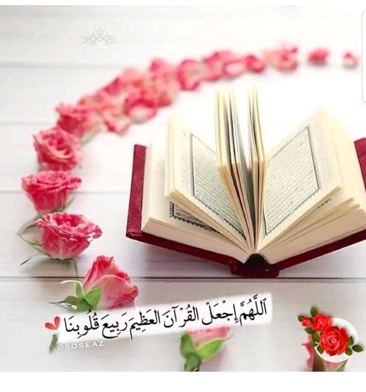 Message Online Holy  Quran and Islamic Instituation All over the world on WhatsApp. wa.me/message/S4L47K…