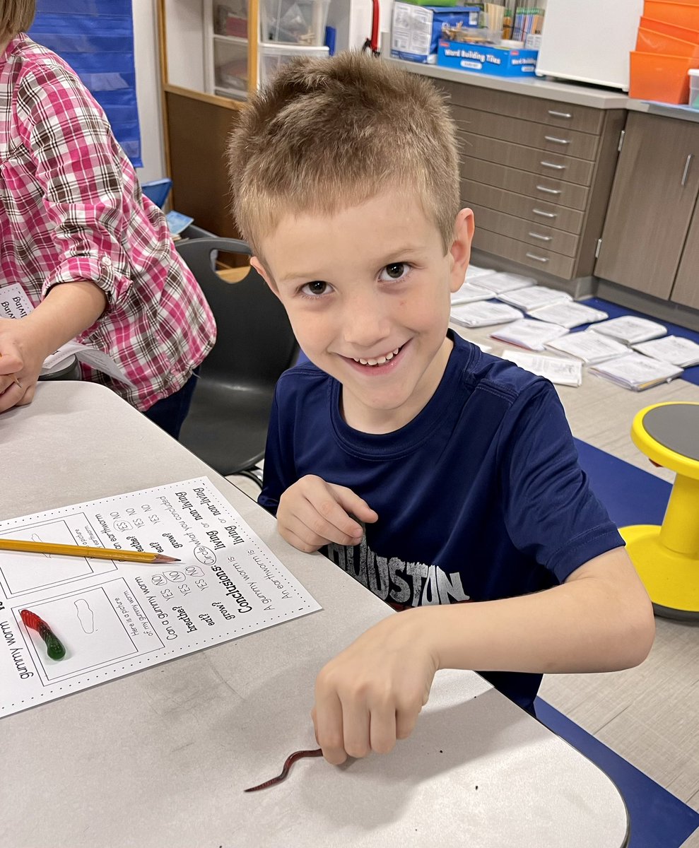 QueefLatinahO_G's tweet photo. Living or Non-Living? Worms for the science win!! @WISDLagway #gummyworms #earthworms #somelikeearthworms π#somenotsomuch π€ͺ https://t.co/Y6w80RytaU