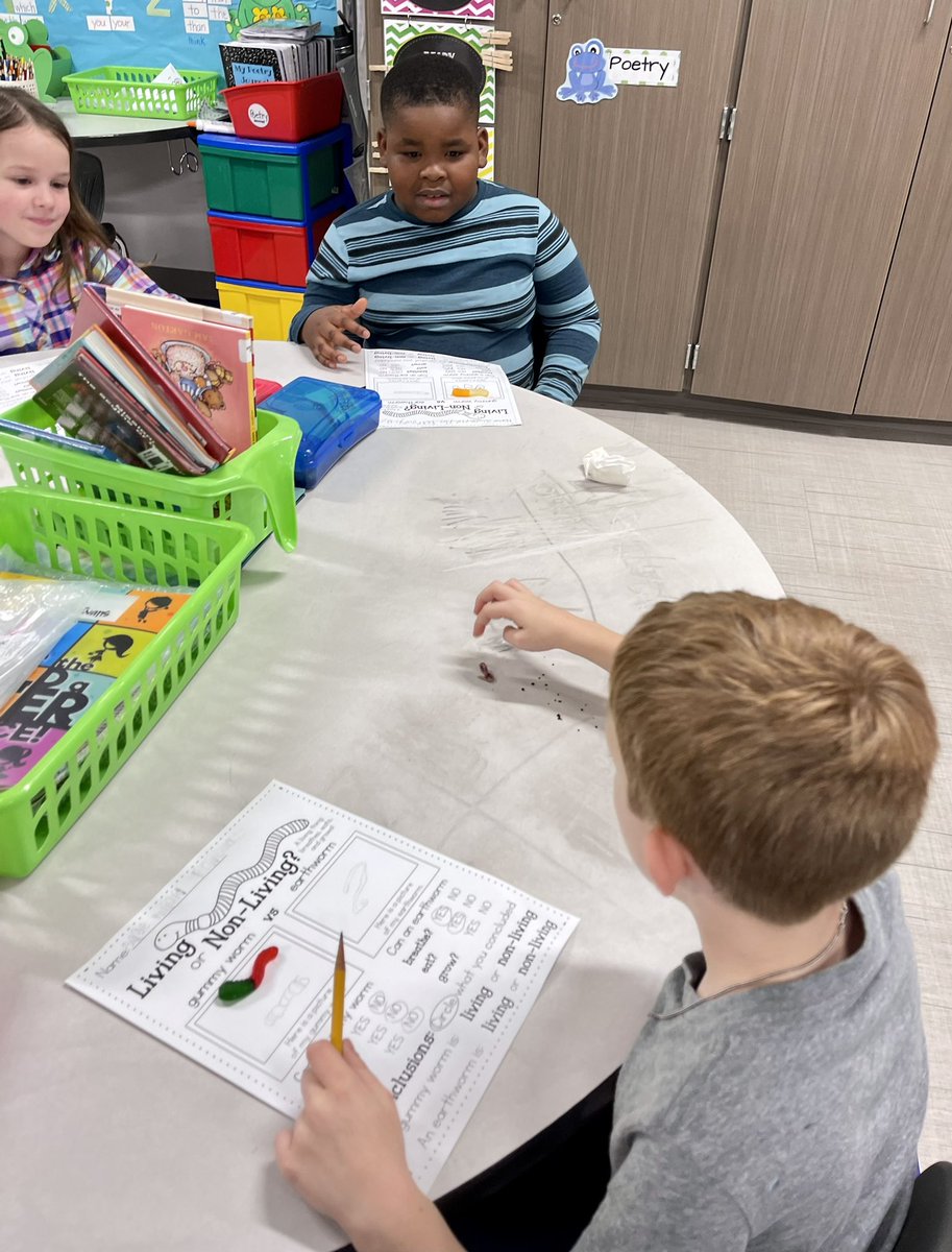 QueefLatinahO_G's tweet photo. Living or Non-Living? Worms for the science win!! @WISDLagway #gummyworms #earthworms #somelikeearthworms π#somenotsomuch π€ͺ https://t.co/Y6w80RytaU