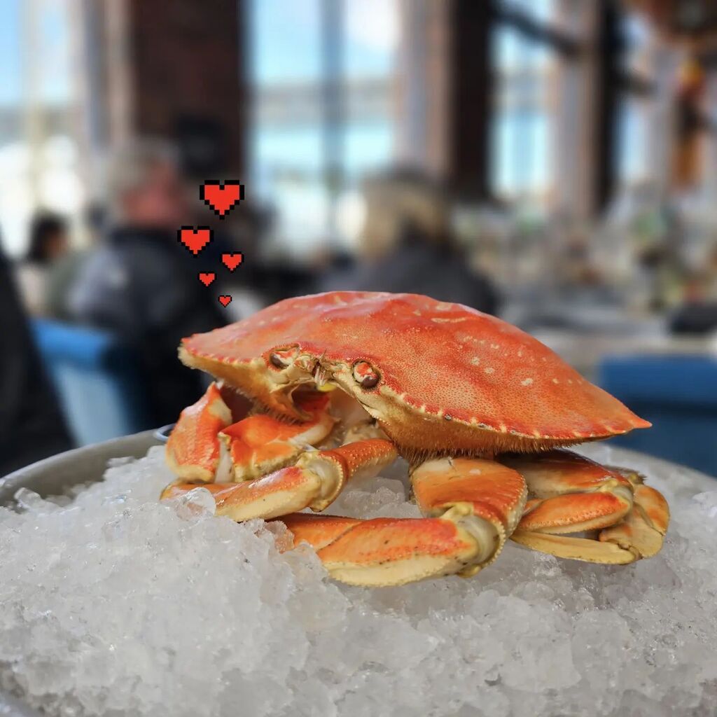 Michelle tweet media